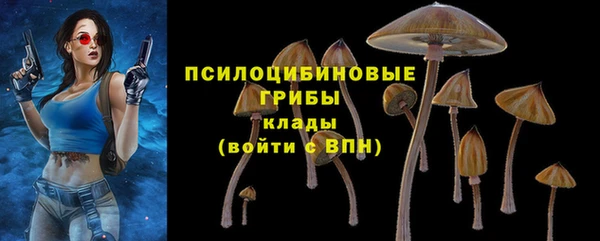 молекула духа Армянск