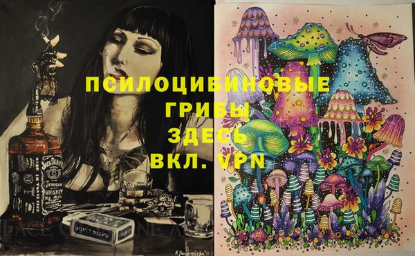 хмурый Алексеевка