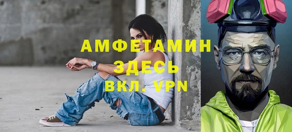 шишки Гусев