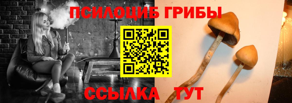 Светлоград  Псилоцибиновые грибы ЛСД  Вход с VPN 